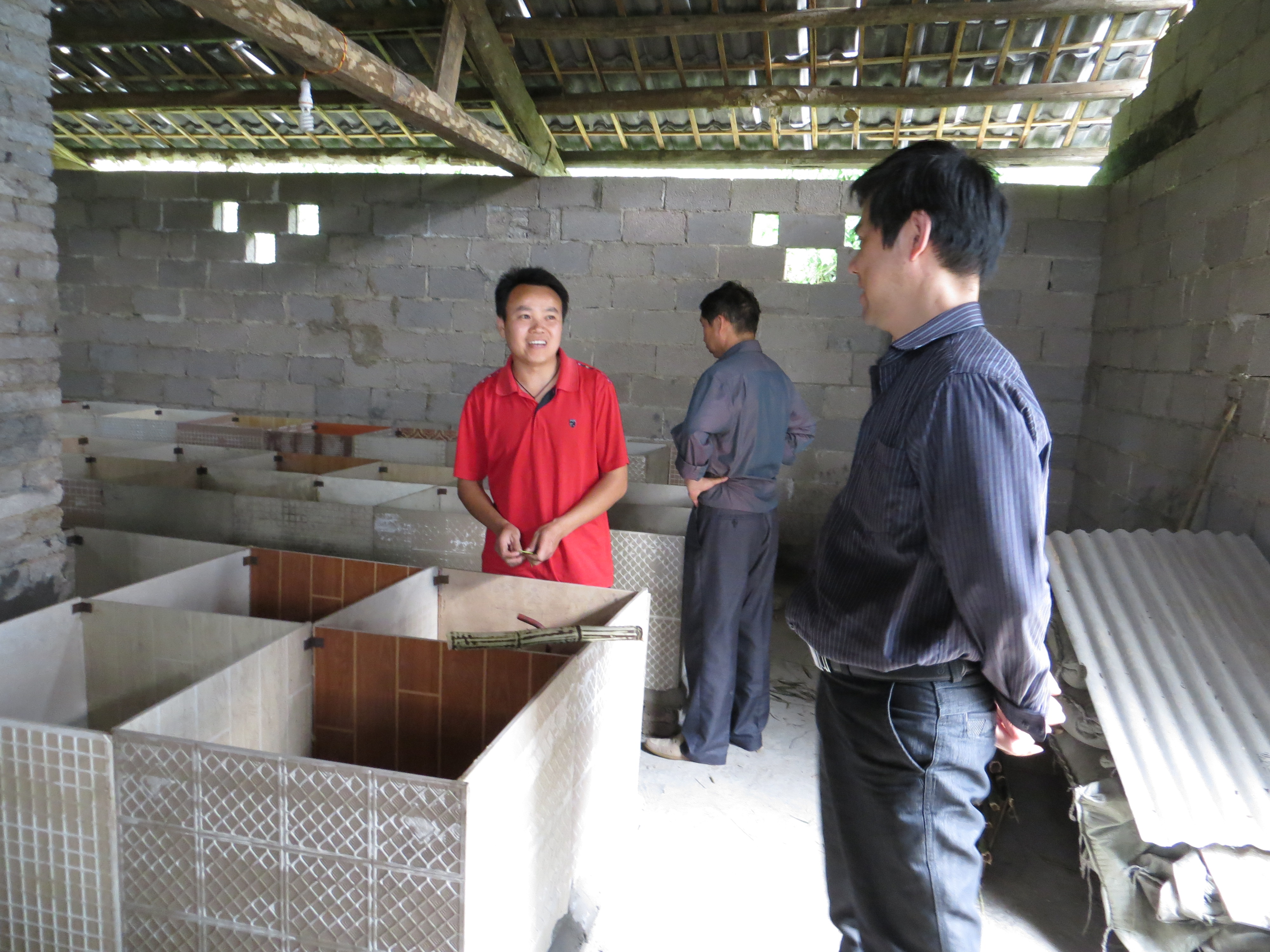 竹鼠养殖圈舍的建造