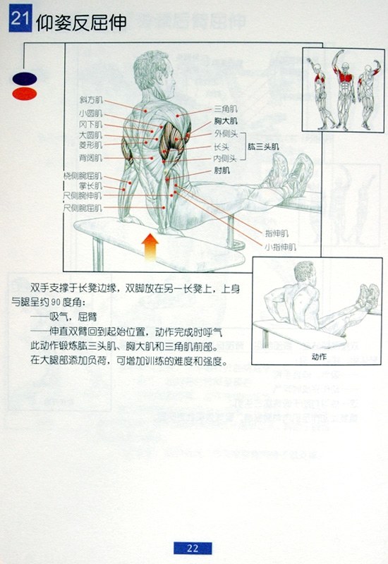 「健身必转」最全图解哑铃操合集