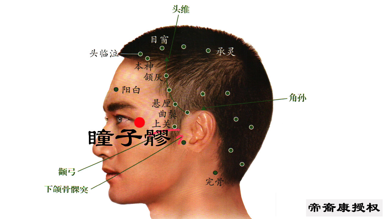 瞳子髎按摩特别疼图片