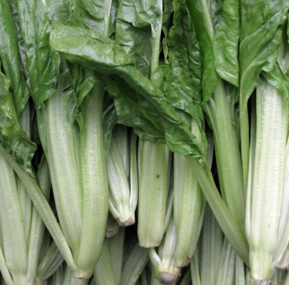 北方人都没见过的8种青菜,南方人天天吃,特别是第三种!