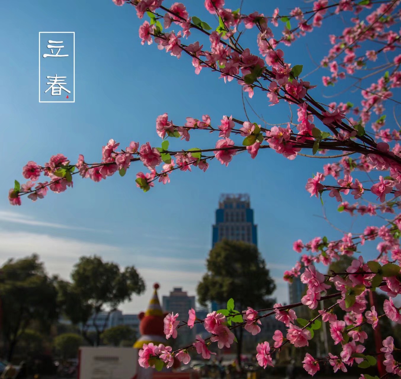 立春美丽风景图片欣赏