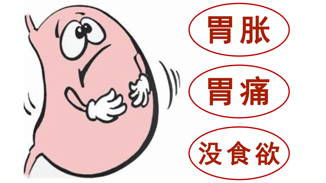 胃胀胃痛没食欲,打嗝干呕易便秘,阴阳虚?气血虚?