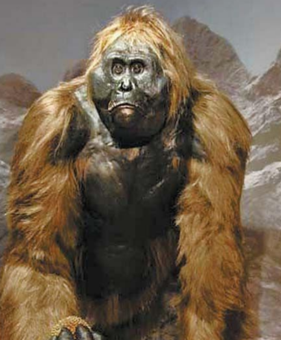 四大史前动物,如果你能复活一种,你会选巨猿吗?