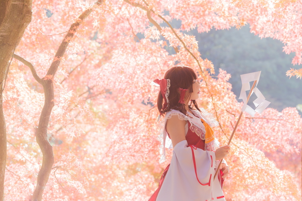 日本萌妹子cos博丽灵梦!背景树木和角色融合的真是相当唯美啊!