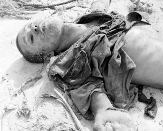 二战中暴尸荒野的日军(珍贵的图集)