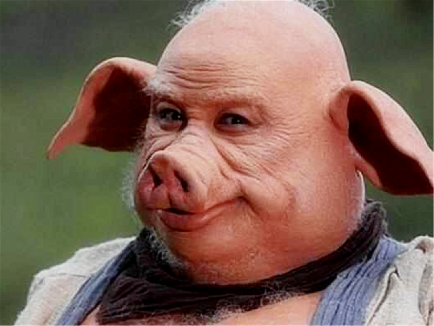 西游记最经典的4大"猪八戒",最后一位怕是找了只真猪来演?