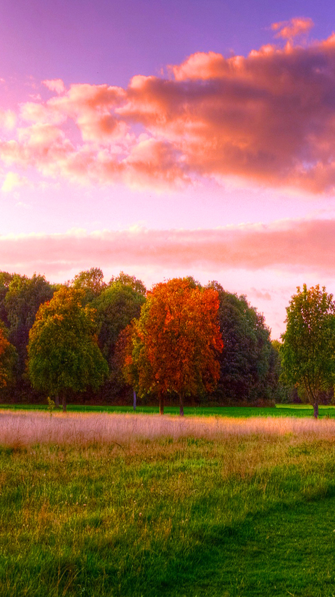 色彩斑斓,红黄蓝绿风景手机壁纸