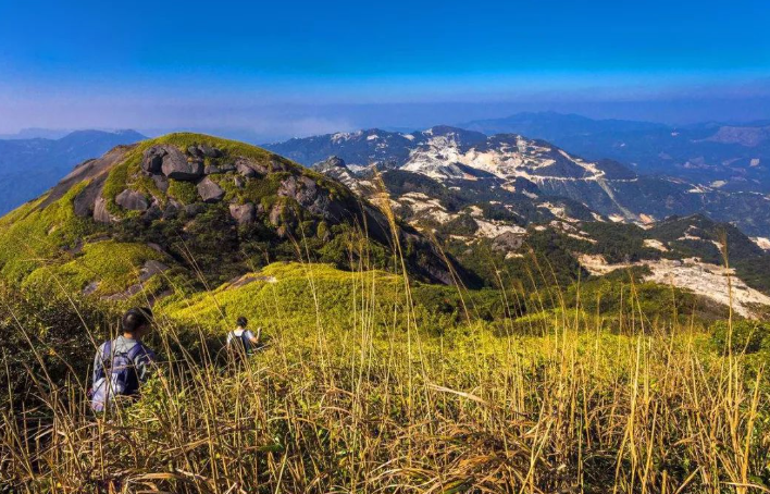高山密林里入眠,原始森林内漫步!