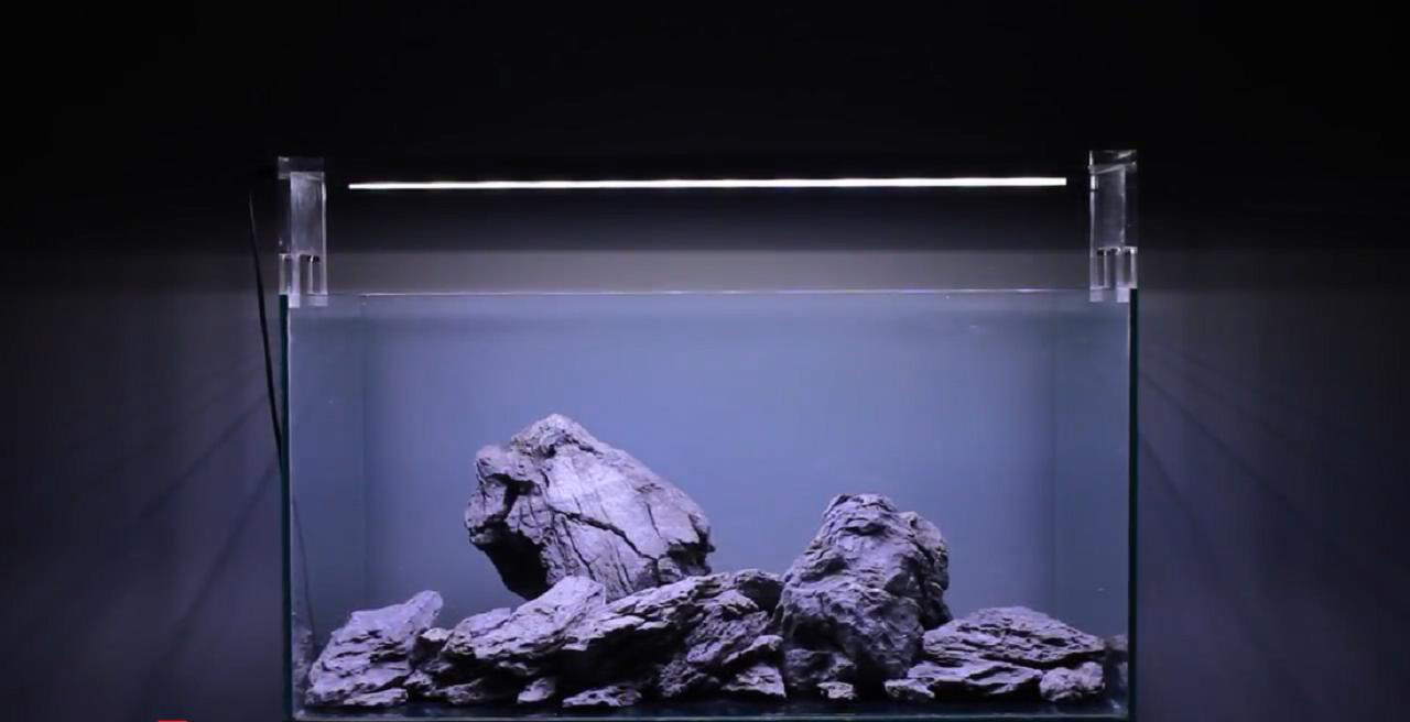 60草缸石头景开缸教程,看完才知道鱼缸造景这么简单