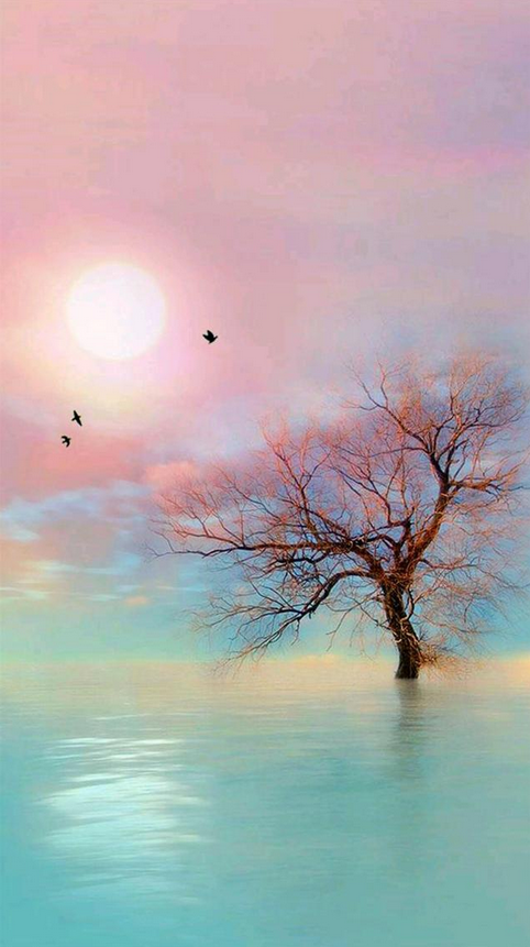 光鲜美丽 带给您最美的炫彩壁纸 千万不要错过了哦