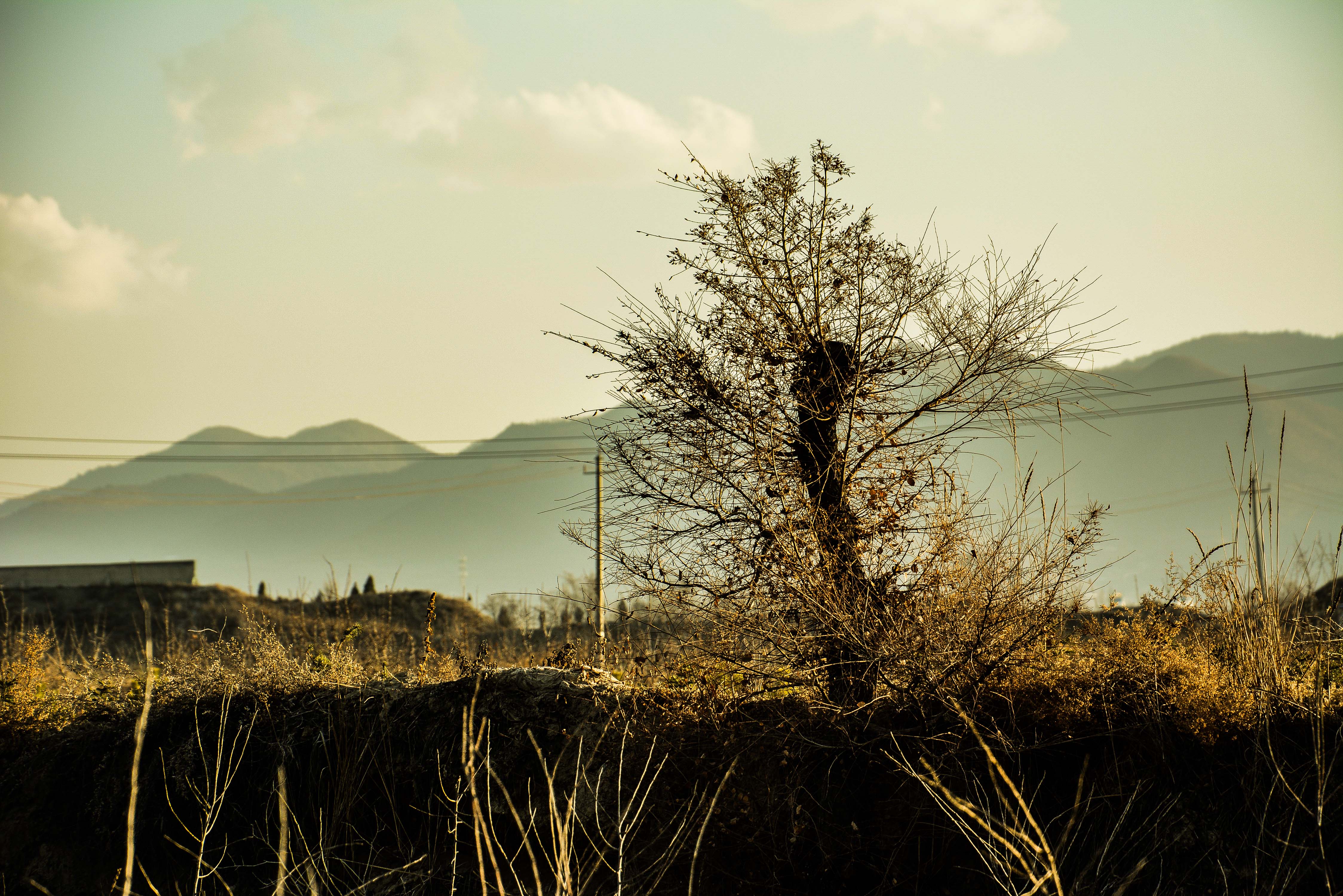 摄影,荒草集,走在西北的草地上