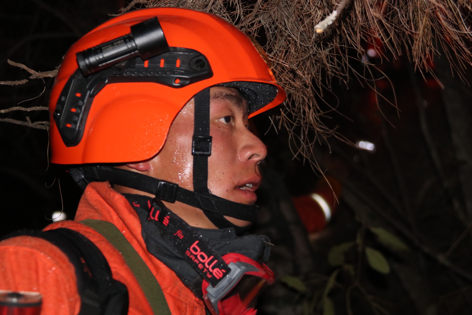 大理凤仪发生火灾 战士星夜上山灭火