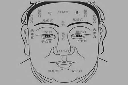 面部一宫位,不仅掌管健康,亦能揭示命主财运!