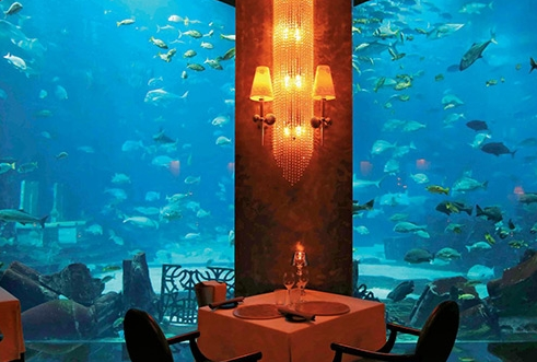 迪拜海底餐厅 沉没在海底的饕餮盛宴