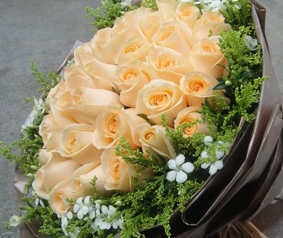 香槟玫瑰:我只钟情你一个,你收到人生中的第一束花是什么花