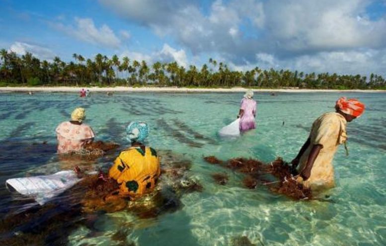 来zanzibar度假一是因为桑岛风光秀美,二是因为有历史,有故事
