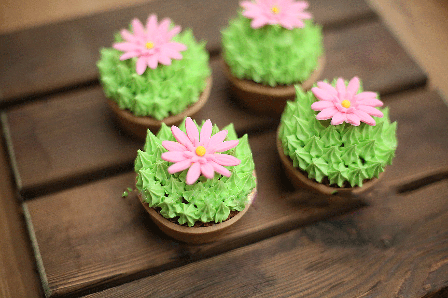 吃更是一种艺术:diy盆栽蛋糕