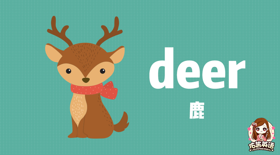 5张"动物卡片", 学英语用它最好!