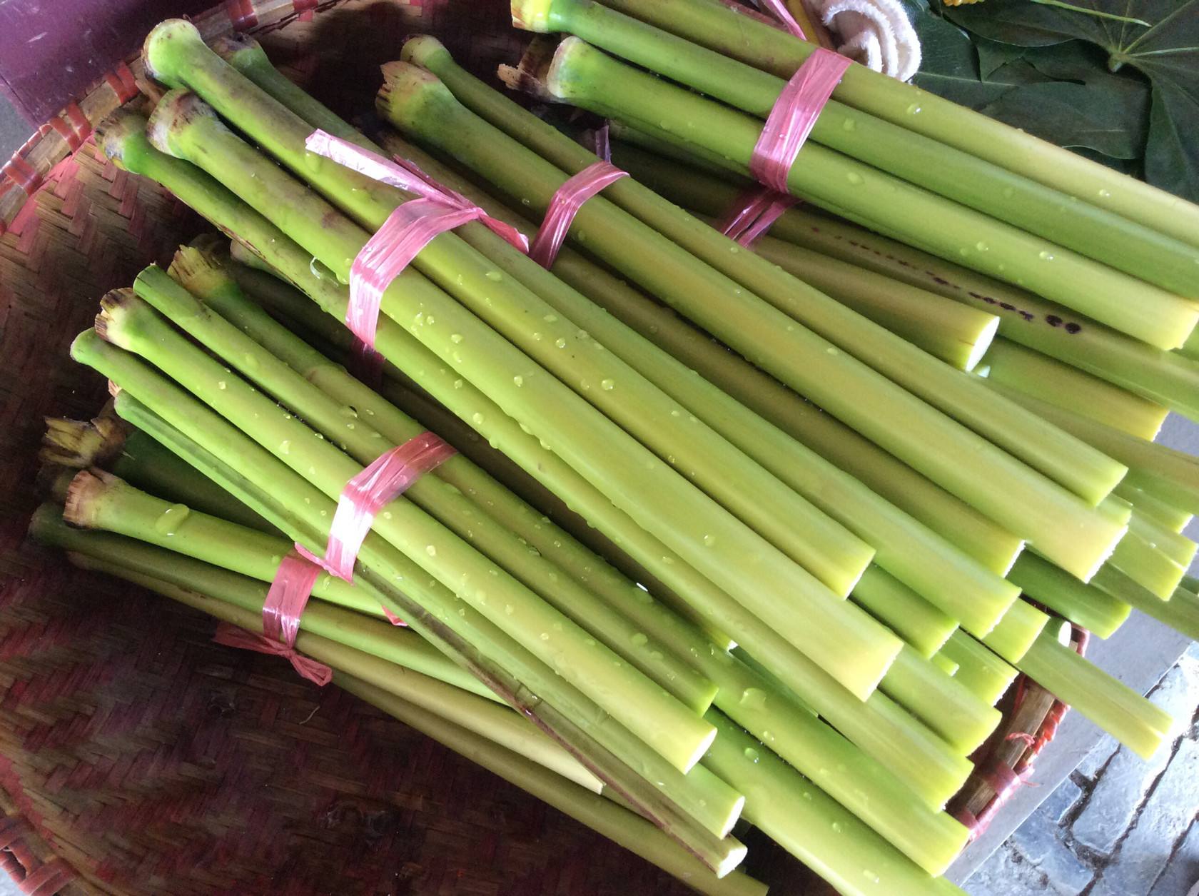 农村这种"北方甘蔗",很多人被它割过手,如今有钱也买不到