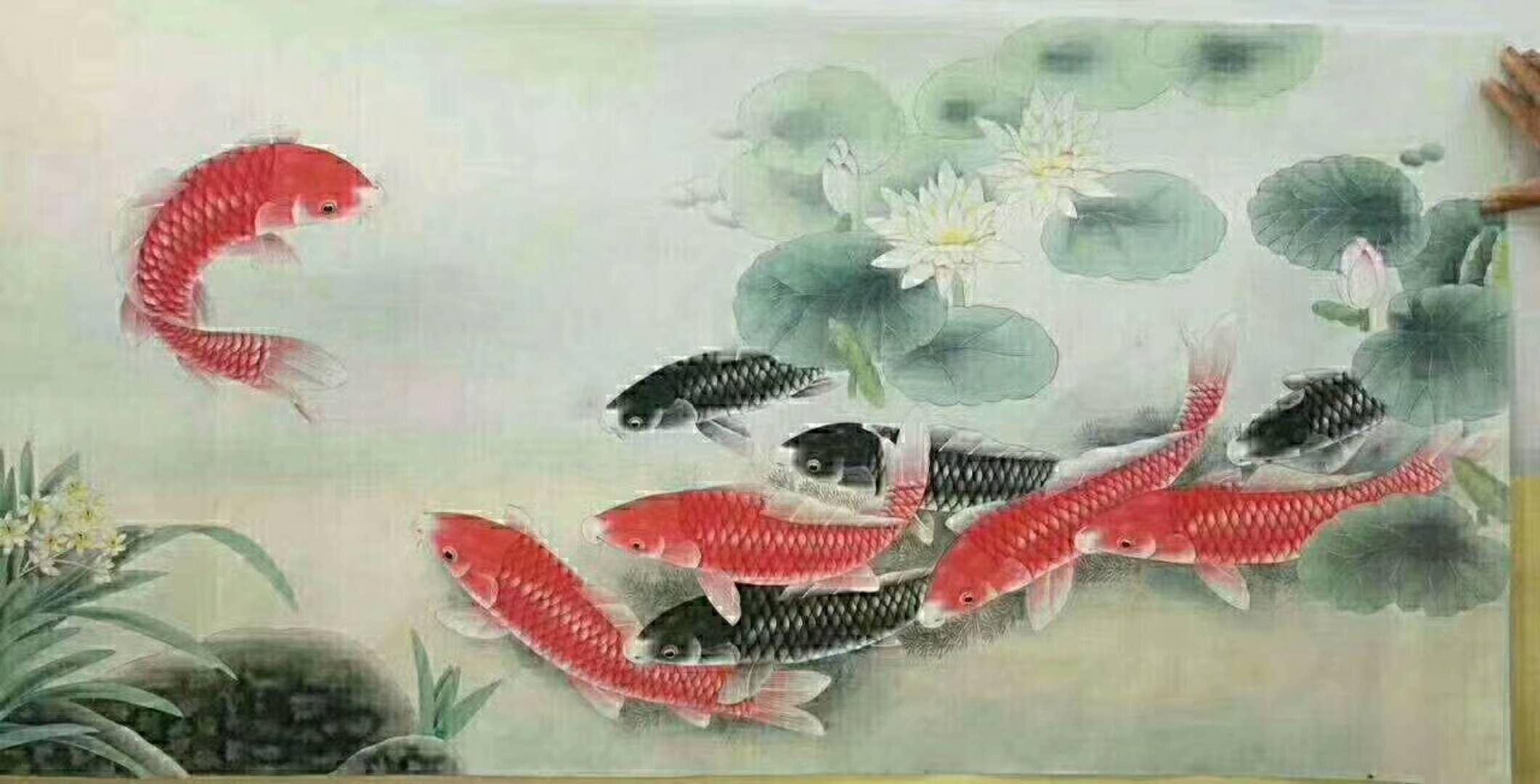 王建升老师国画《莲莲有鱼》欣赏