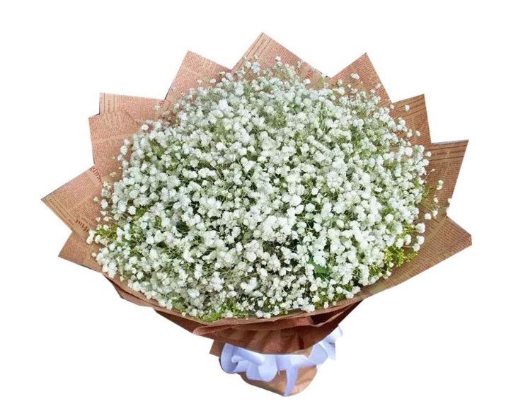 选择这个满天星的你:生活依旧没有任何喜事发生,没有喜事发生,也和