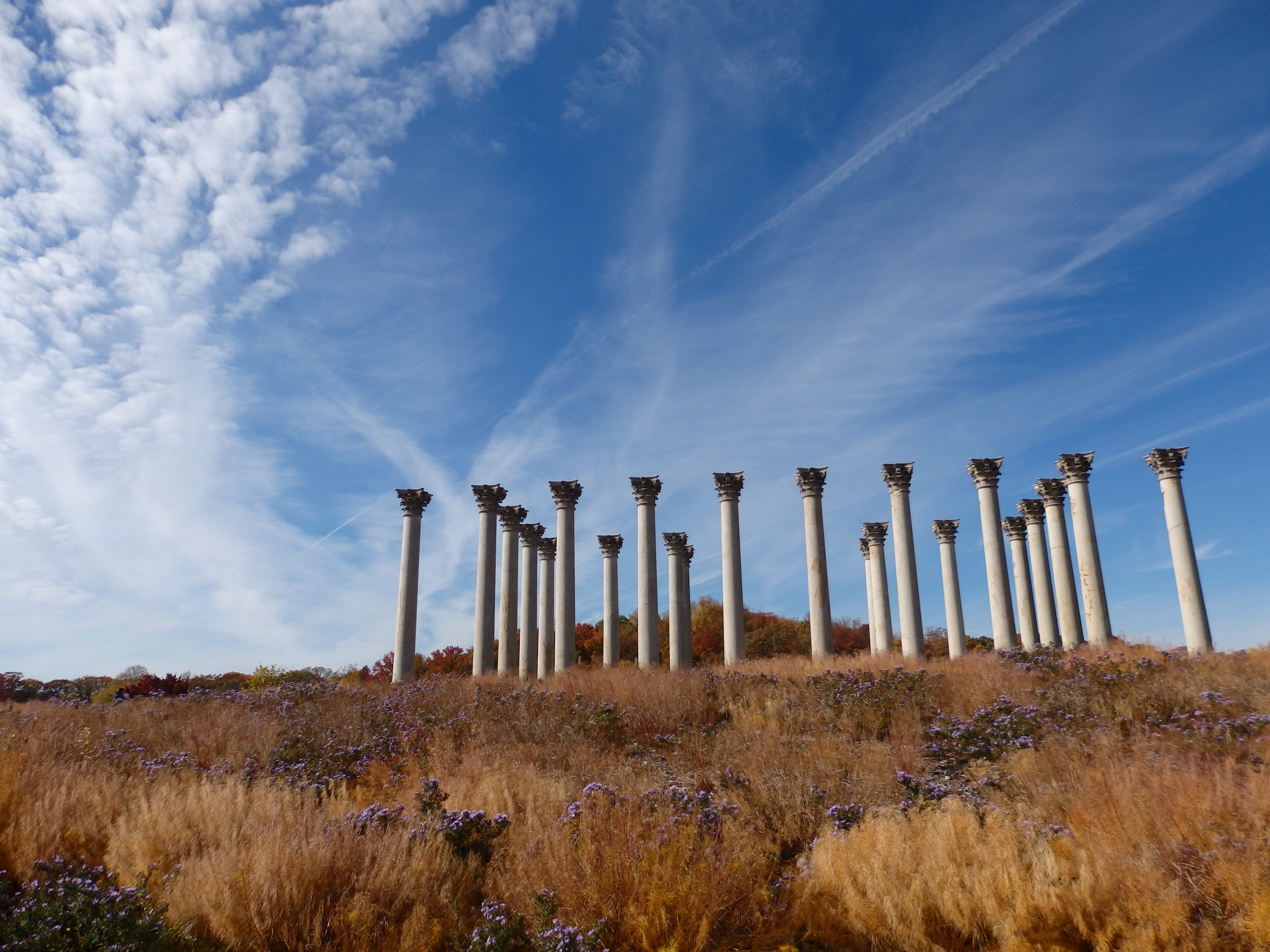 美国国家植物园-秋天