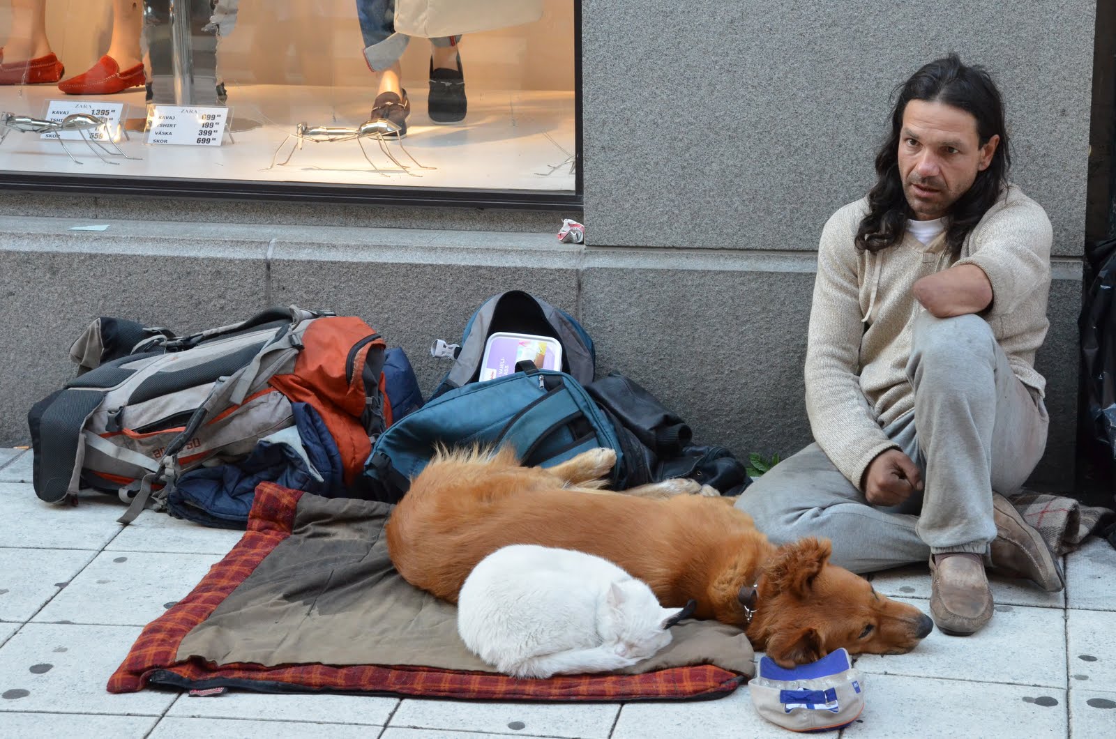 流浪汉与狗-跨越物种的羁绊,我的世界只剩下你