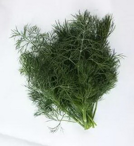 这种草,在古时候称"洋茴香",具有促进消化的作用