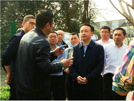 区委书记许兴国视察世纪景程环保公司imbrs系统设备