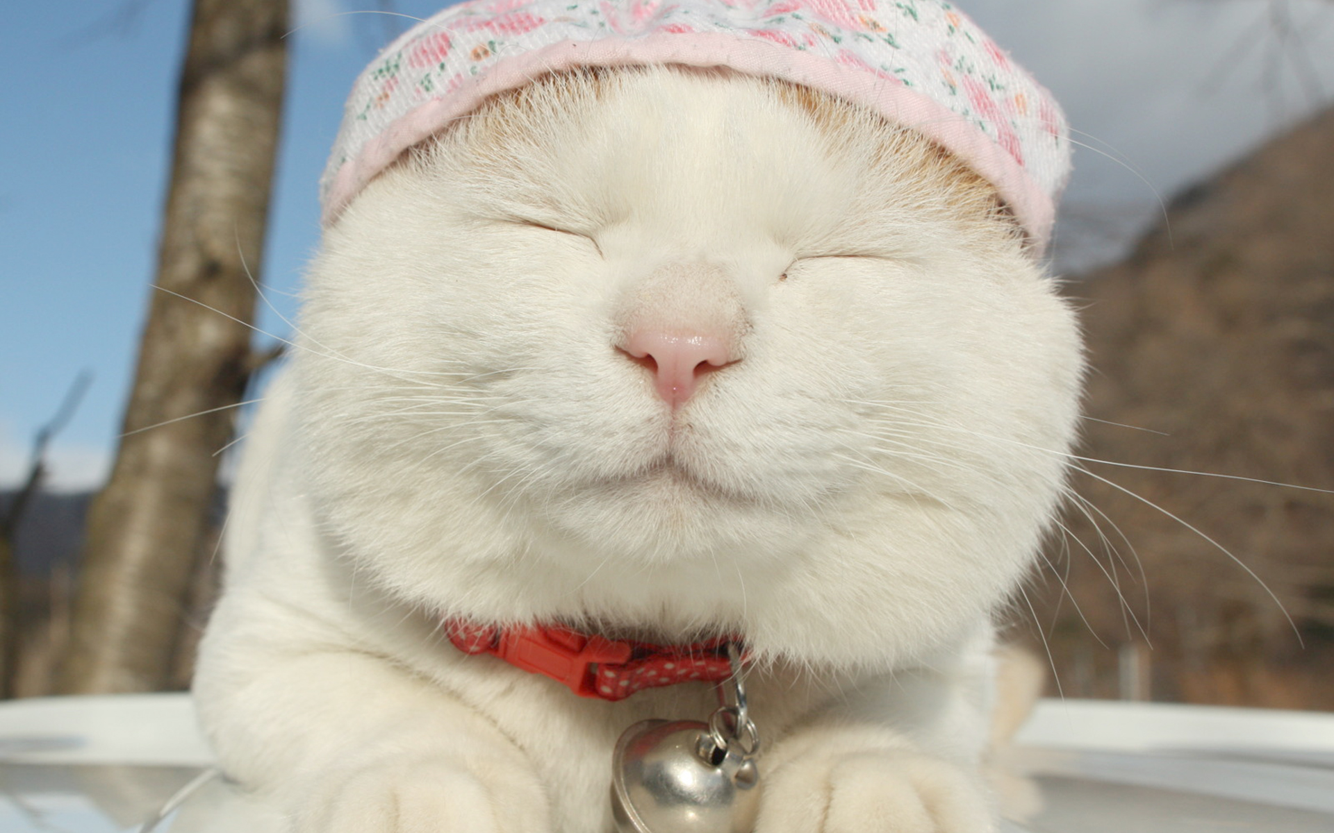 开心一刻:老爸家长会上抽烟,老师说了一句话,老爸的反应亮了!