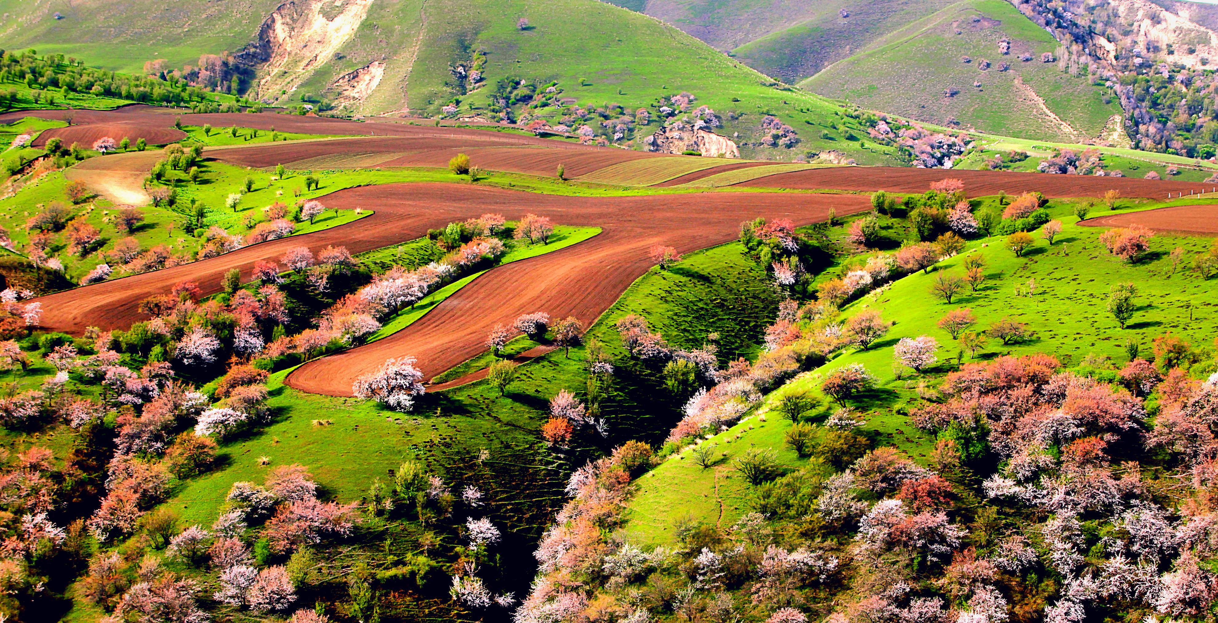 杏花村的风景,有山有水美不胜收