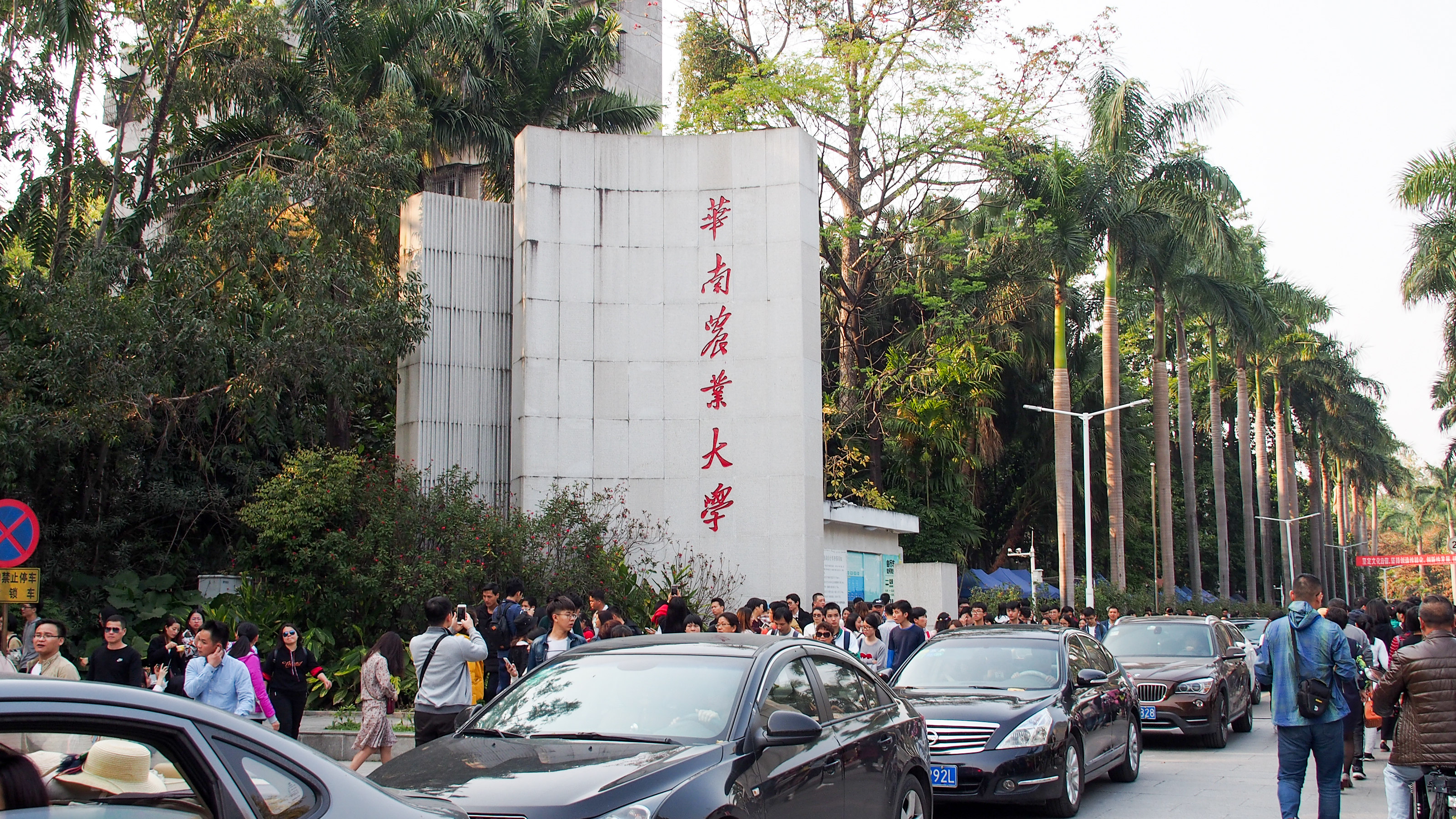 游华农校园,品诗意春色