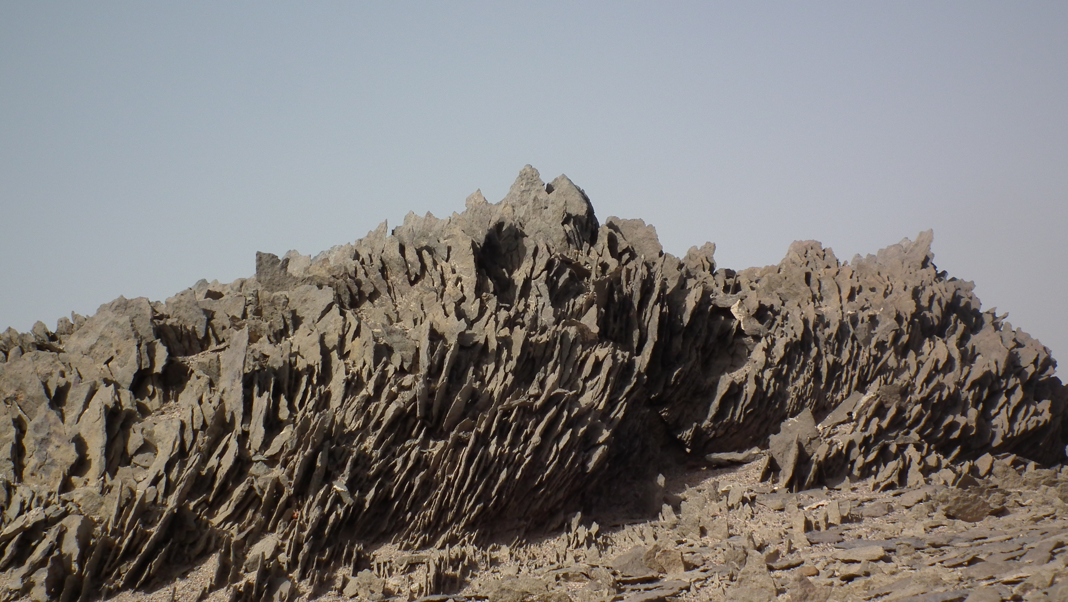 大漠猎奇 戈壁滩上的风景