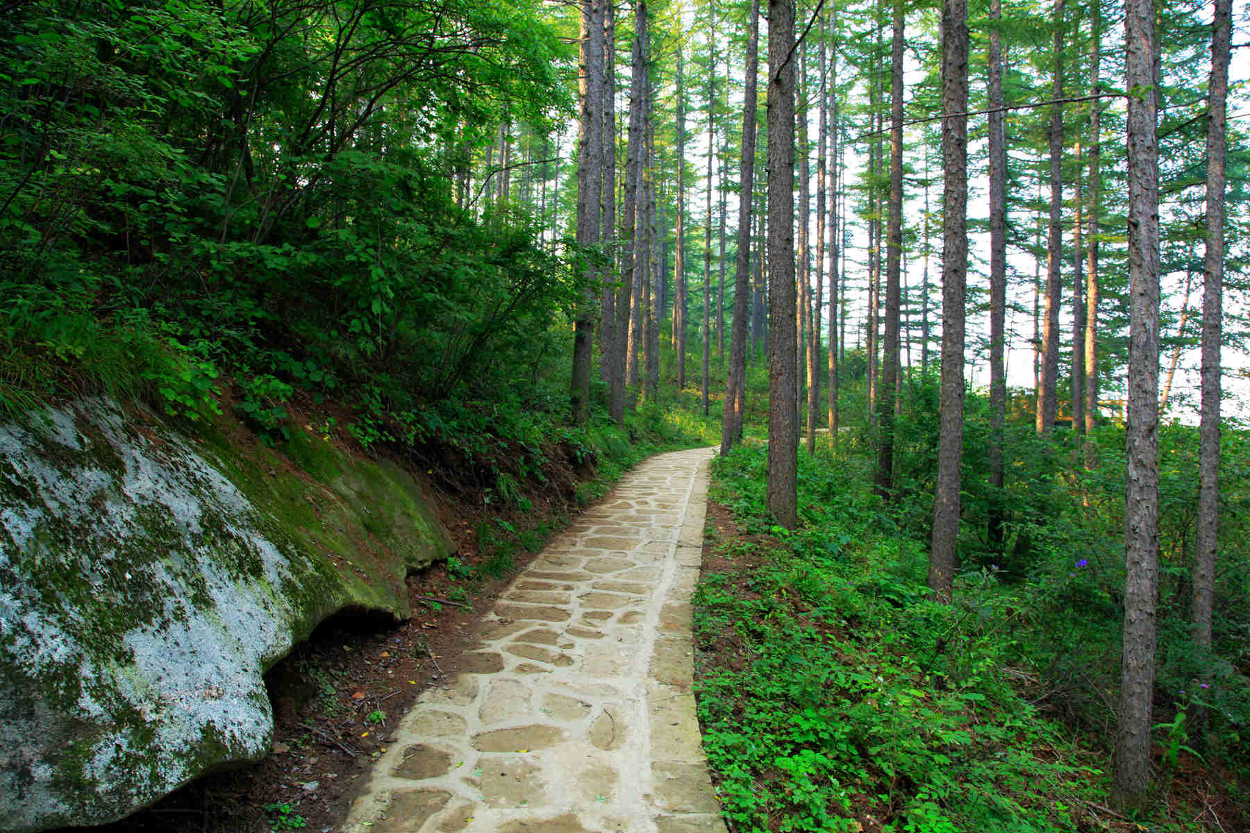这里高山密林,寻奇涉幽,是你春游必去的地方