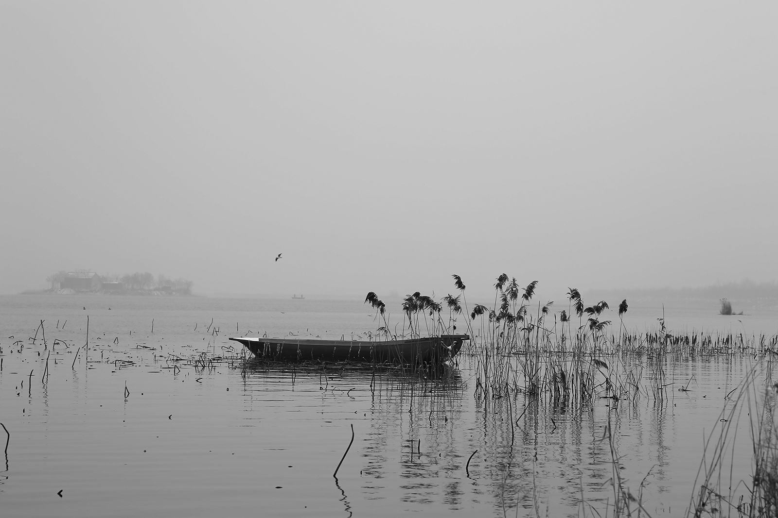 衡水湖上静静飘荡的小船