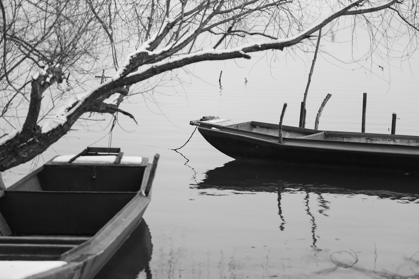 衡水湖上静静飘荡的小船