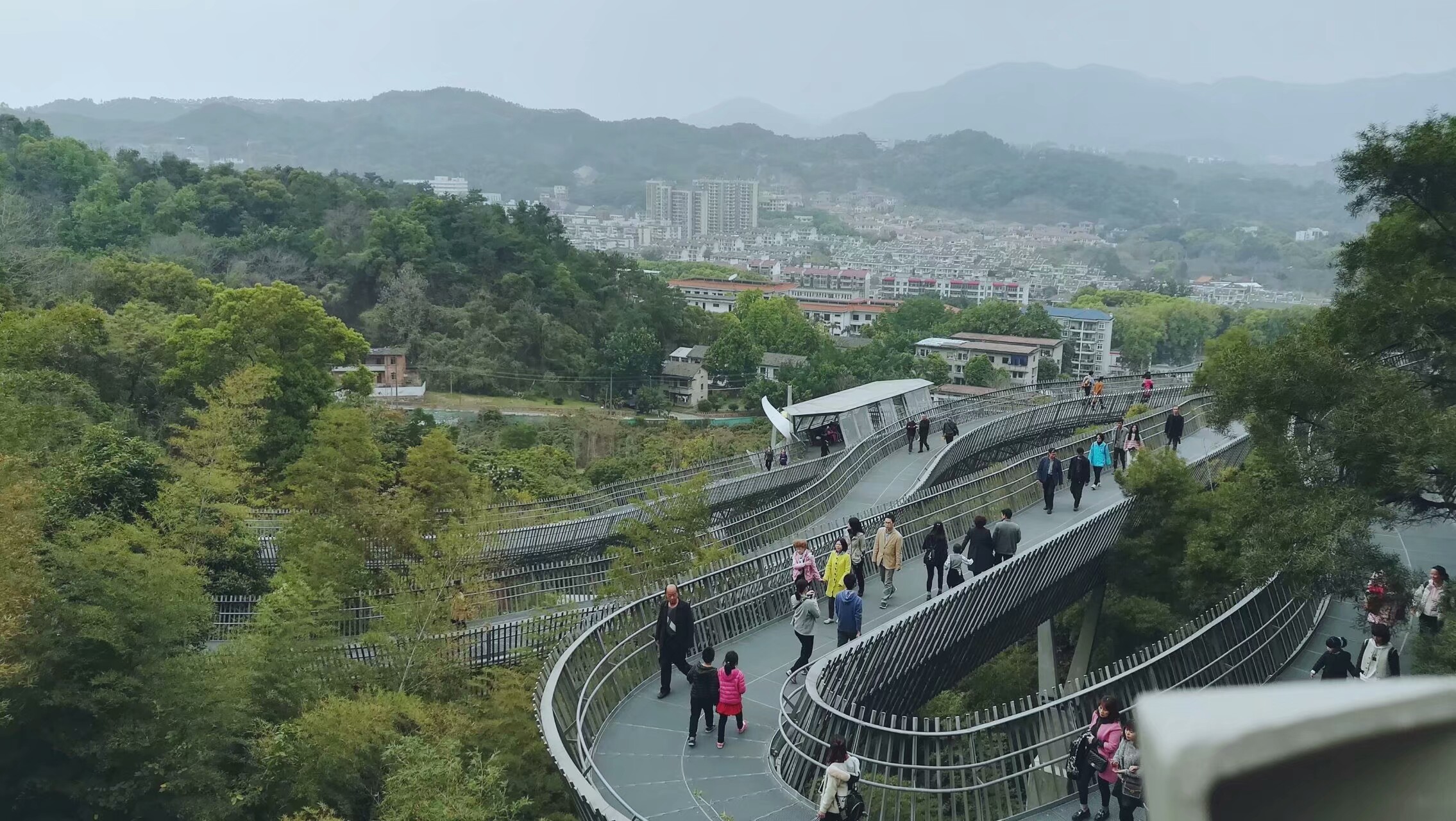 福道樱花园走一走