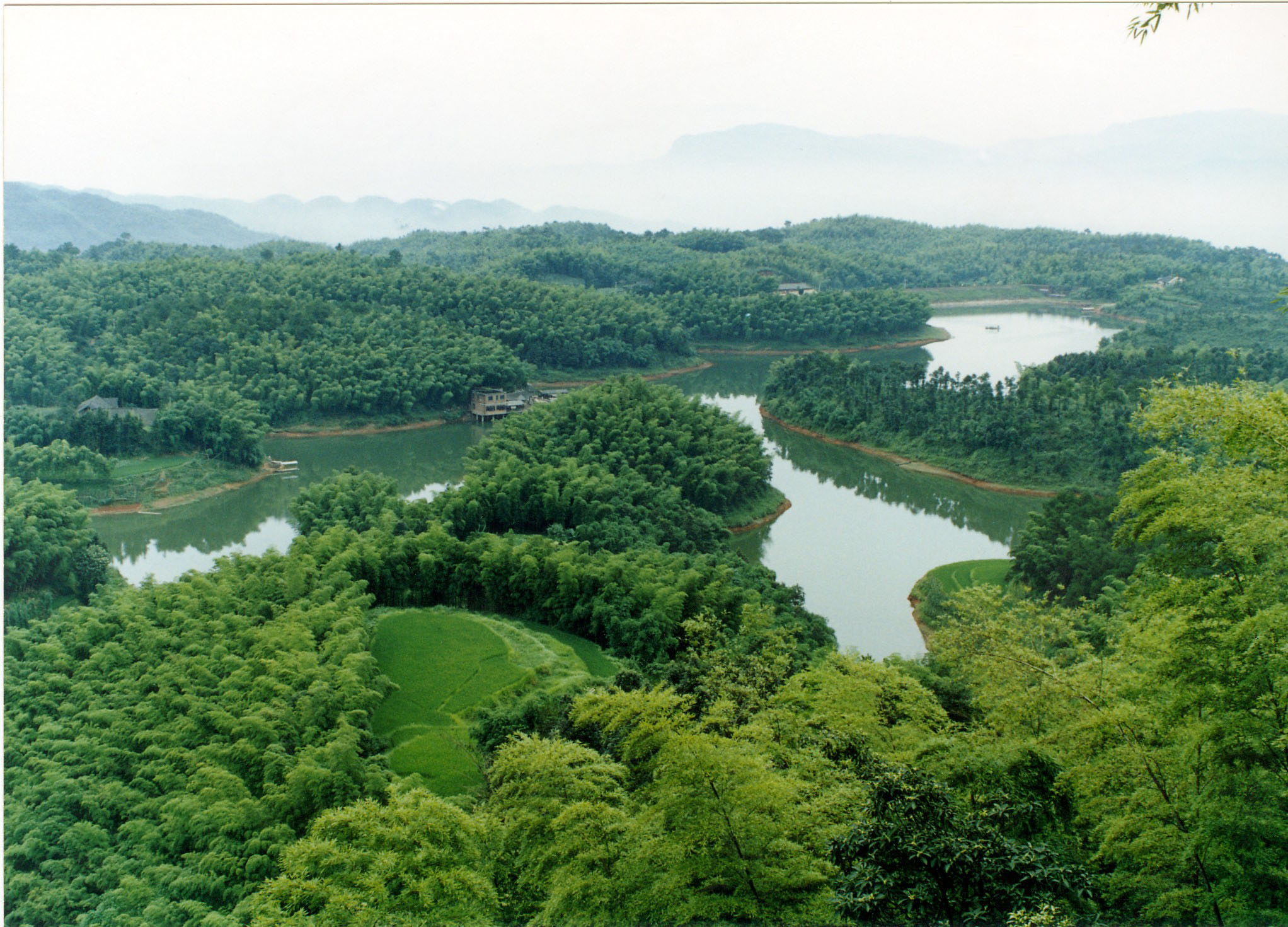 蜀南竹海全景图图片
