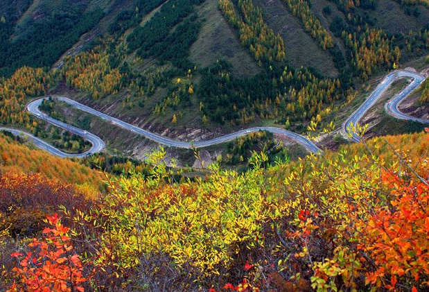 通天塔是仙女山公园的最高峰