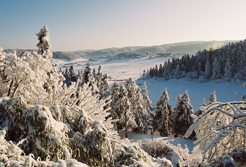 通天塔是仙女山公园的最高峰