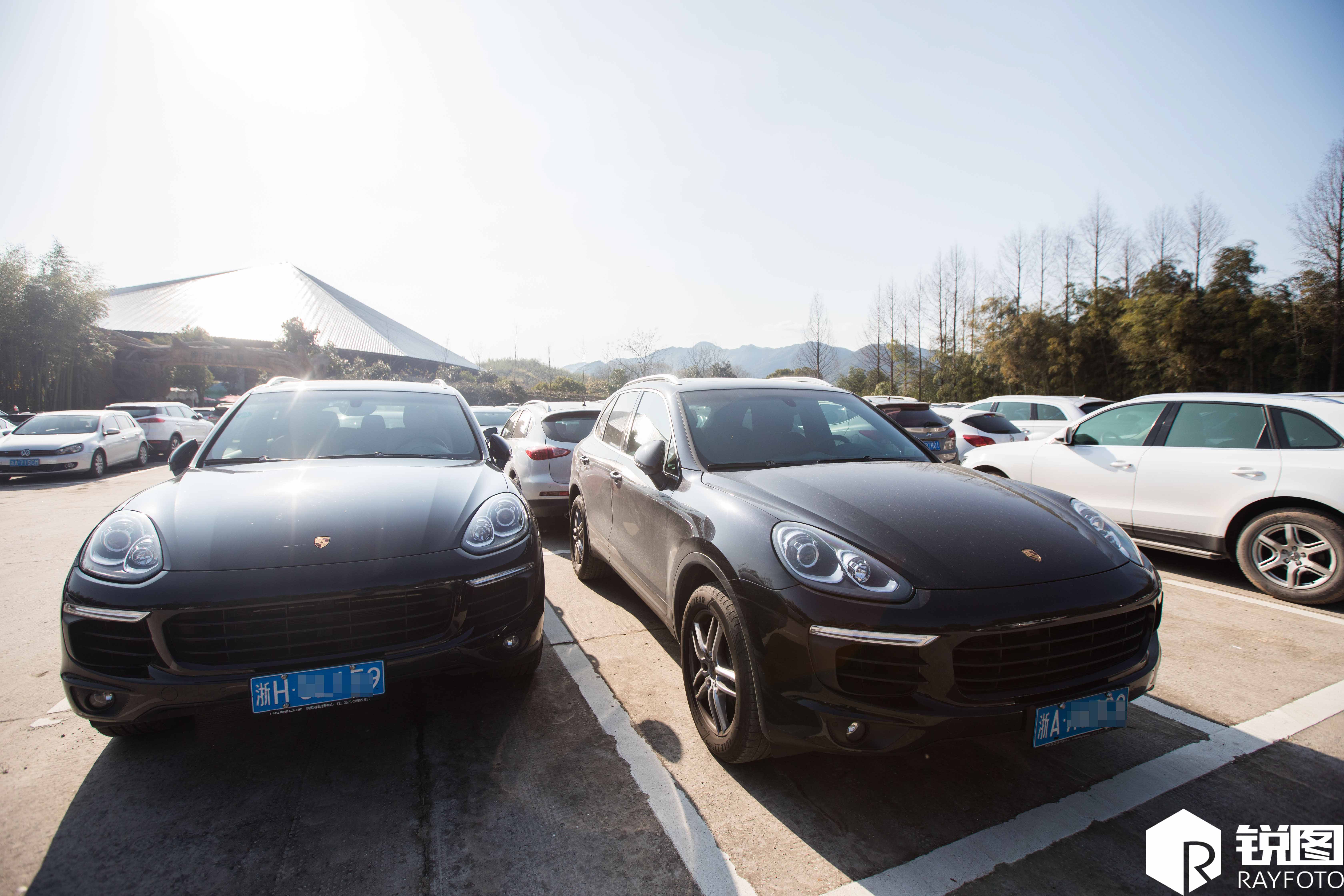 浙江现土豪停车场 豪车云集像车展现场