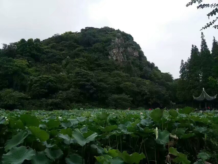 谁说昆山没有山,玉峰山就是一土坡的?