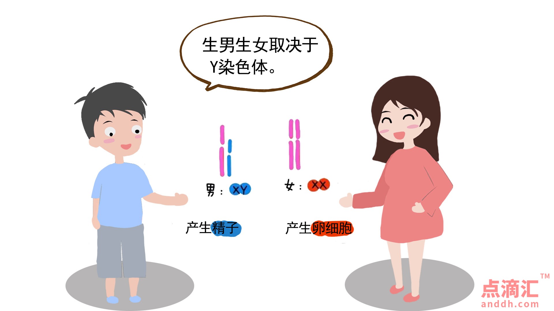 生男生女取决于谁