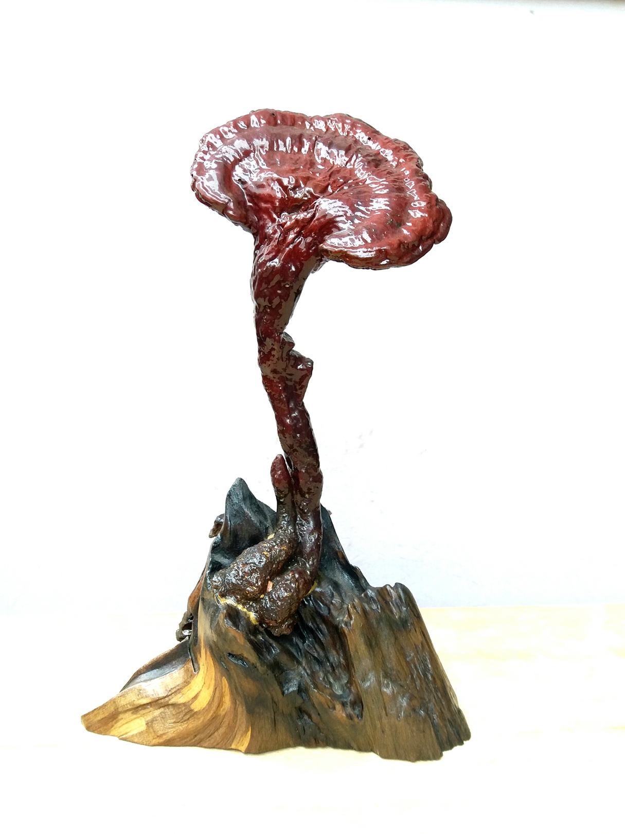 野生灵芝摆件,件件精品