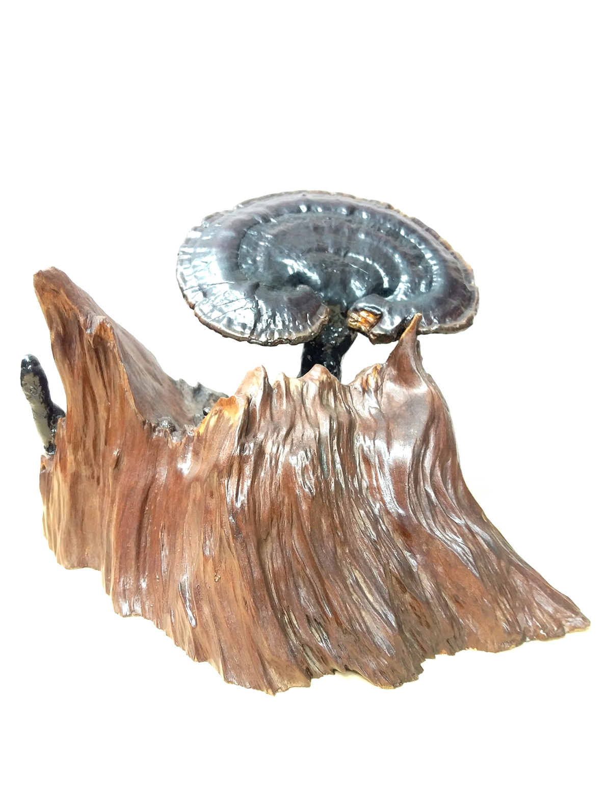 野生灵芝摆件,件件精品