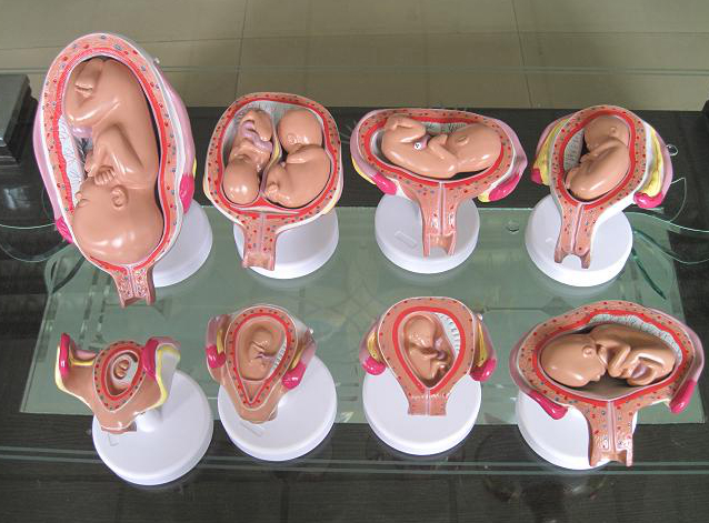 怀孕期间,这三个生理现象表示胎儿发育特很健康!