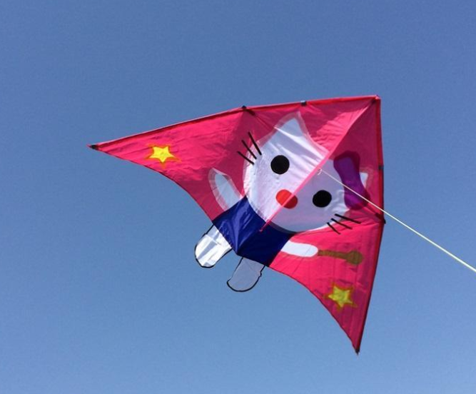 九大星座专属风筝:金牛座的可爱,处女座是燕子风筝?喜欢吗?