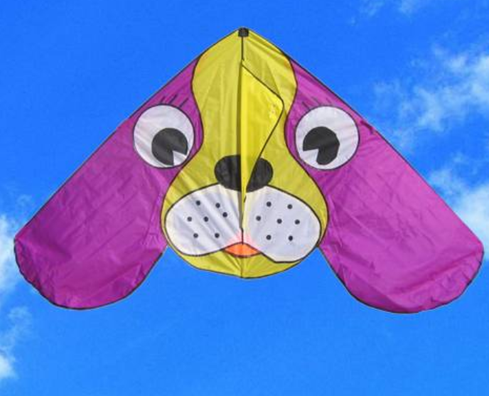 九大星座专属风筝:金牛座的可爱,处女座是燕子风筝?喜欢吗?