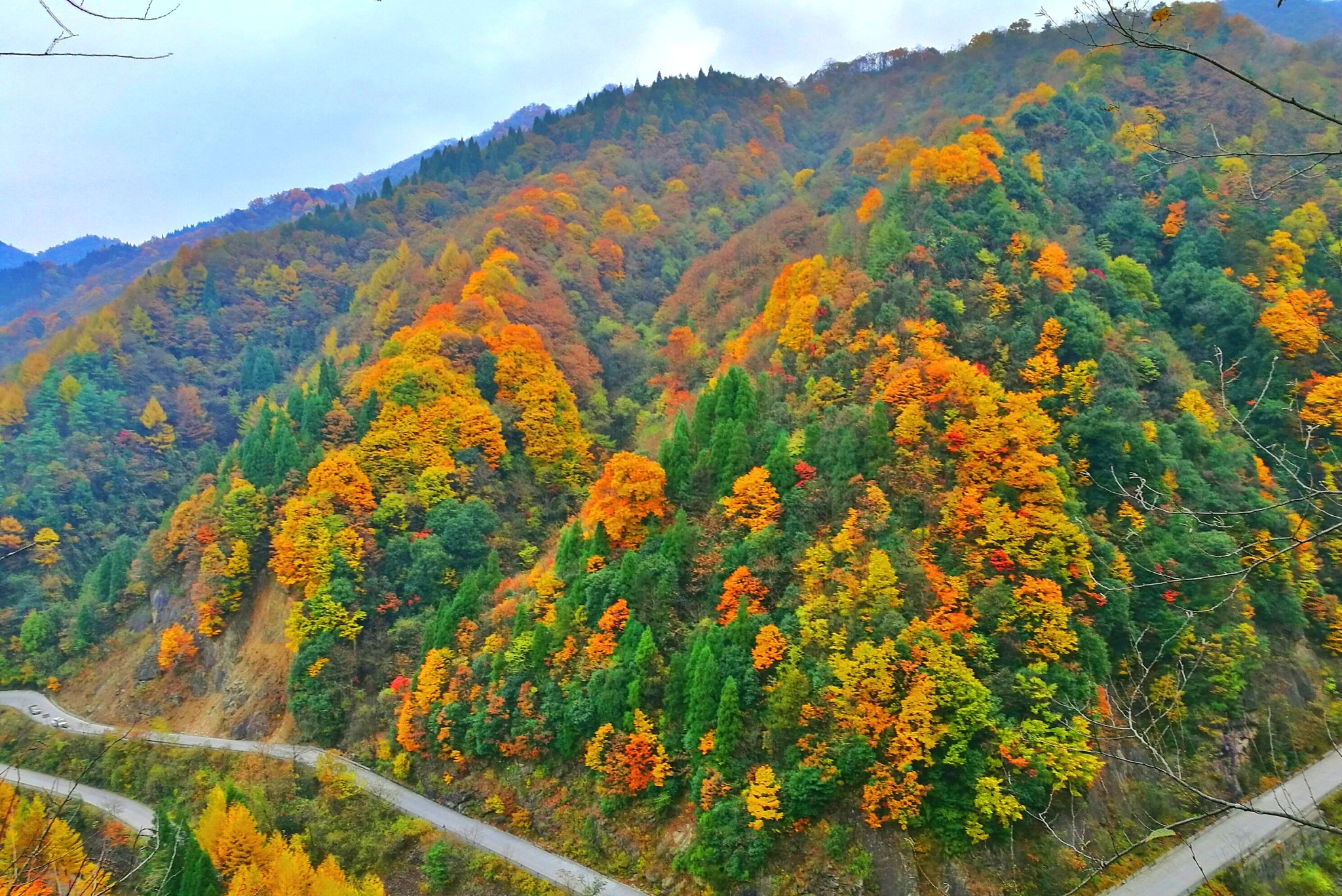 光雾山,气候宜人,四季可游,是春天的旅游胜地