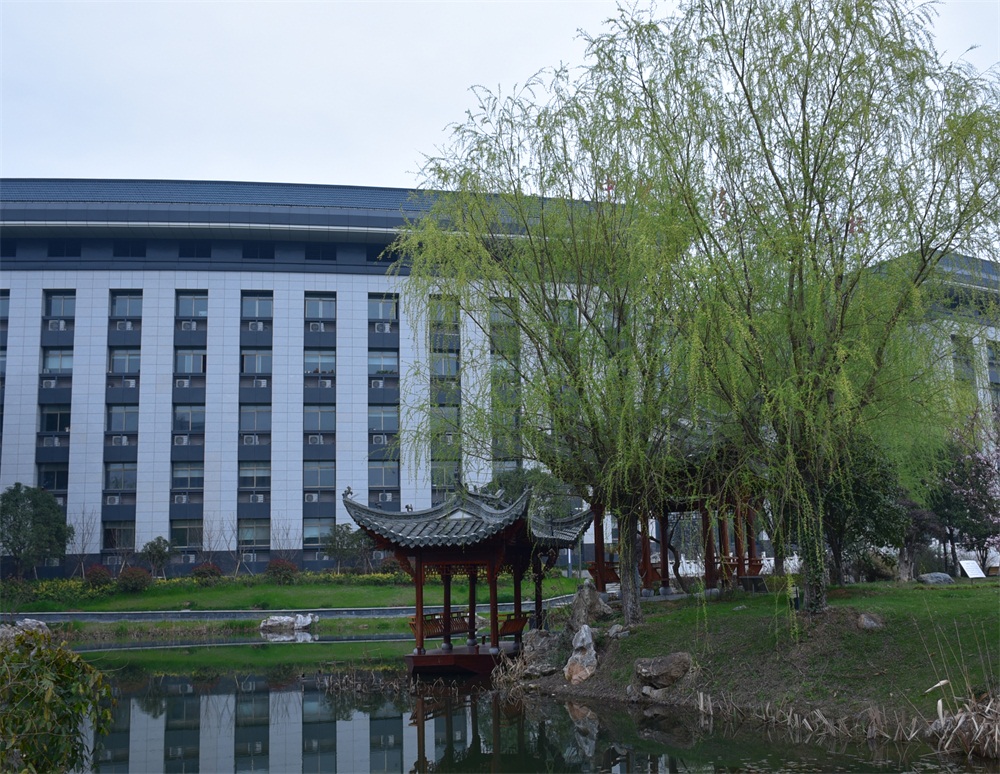 铜陵市委党校风景美,俨然已成赏花观景胜地